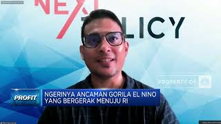 Waspada Gorila El Nino, Pasokan Pangan RI Terancam?