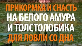 ЛОВЛЯ ТОЛСТОЛОБИКА, АМУРА СО ДНА - ПРИКОРМКА, СНАСТЬ