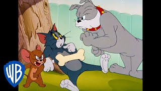 Tom y Jerry en Latino | Dibujos animados clásicos 34 | WB Kids