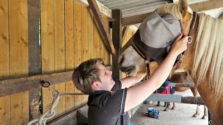 Essayage du masque anti mouche + tapis CHEVAL CHIC