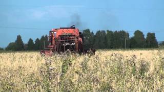 Уборка урожая 2012 комбайном ДОН-1500