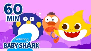 Baby Shark Brooklyn and Friends! | +Compilation | Baby Shark Animated Series 