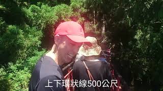 宜蘭「星鑽步道」重享「太平山 →楓紅步道→蹦蹦車→茂興懷舊步道→翠峰湖環山步道→見晴懷古步道」森林遊樂趣