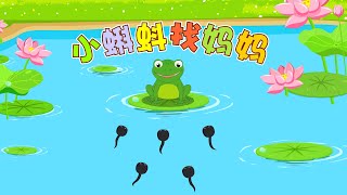 小蝌蚪找媽媽|童年經典|睡前故事卡通|幼兒早教啟蒙|繪本動畫|童話|寓言|成語故事|貝樂虎|BabyTiger