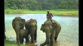 Mile Sur Mera Tumhara
