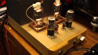 Wavac Audio Lab MD-811 plays I am a fool to want you