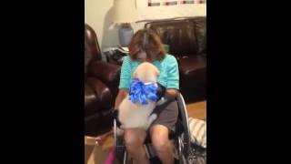 Mom's Surprise Golden Retriever Puppy