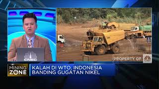 Kalah di WTO, Indonesia Banding Gugatan Nikel