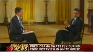 Obama Kills A Fly, Mister Miyagi style