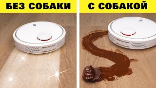 Жизнь с собакой vs Жизнь без собаки