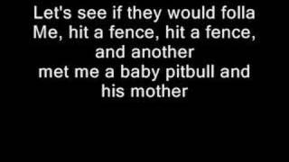 Ice Cube - Ghetto Bird (Lyrics)