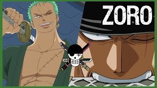 The Strawhat Pirates: "PIRATE HUNTER" RORONOA ZORO