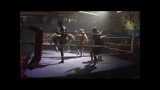 Trailer clip