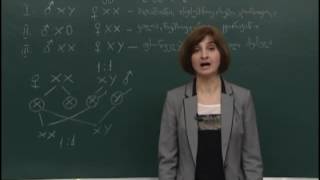 სქესის მემკვიდრეობა