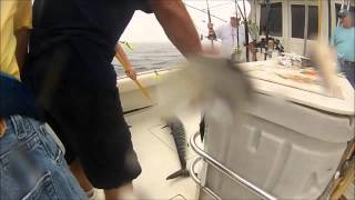 hudson canyon 10\5\13