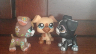 LPS - Tipy PetShopáku Ve Škole #3