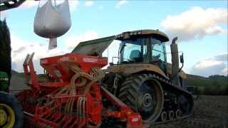 Challenger Agco MT 765D - Semina grano duro - Wheat sowing