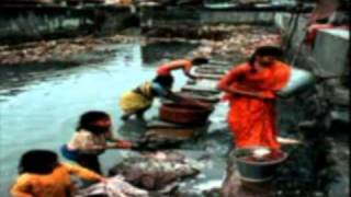Travail des enfants Child labour  تشغيل الأطفال