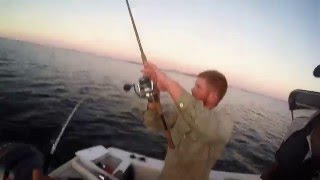 Raymonds Adventures: Trailer Boat Shark Fishing