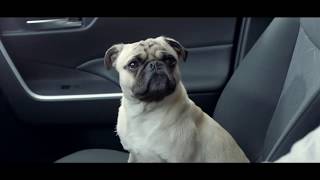 Toyota Rav4 Hibrida 2019 (Comercial) Auto Recargable??