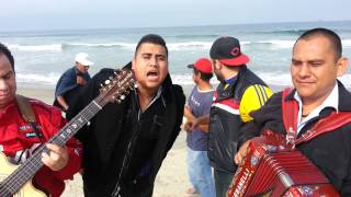 La Nueva Gerencia - Damasso