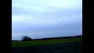 Challenger II Long Wing