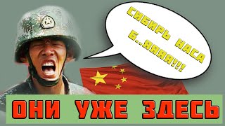 В Сибири началась настоящая партизанская война? Правда? Китайцы в Сибири и на урале уже как дома.