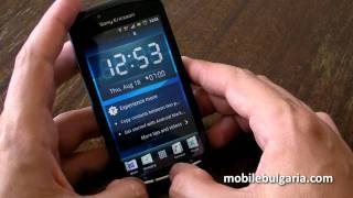 Sony Ericsson Xperia Play interface and game performance