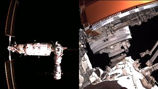 Mengtian docking and transposition