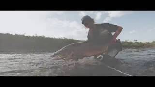 Salmon rises