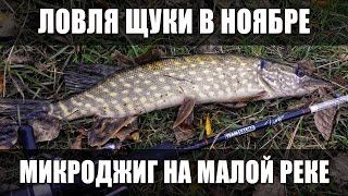 Как ловить щуку в ноябре на малой реке на микроджиг. Осенняя рыбалка в городе, р. Альта