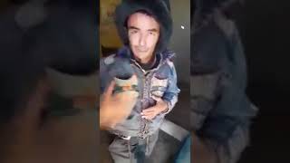 Yangi ko't chiqibdi  foxisha bola