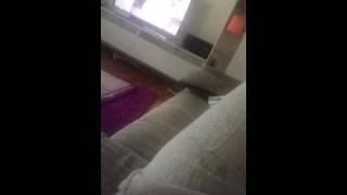 Göğüsler yerinde durmuyor -periscope-