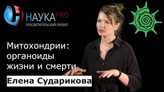 Елена Сударикова - Митохондрии: органоиды жизни и смерти