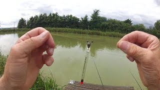 Traditional Float Fishing with Bread & Dog Biscuits - Rigs, Tips & Tactics - Catch More Fish