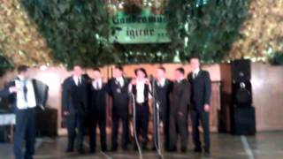 Harmonika - stužková SOŠL BS, 4.A, 25.11.2011