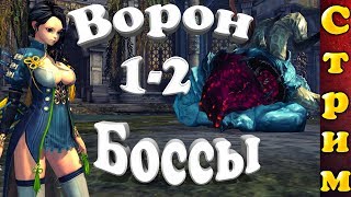 Ворон 1-2 боссы (Возможно будет и Третий) (BNS)(Стрим)
