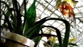 Стефани Сеймур. Биография / Model Documentary Stephanie Seymour