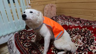 Обзор посылок на крещение/Примерка/