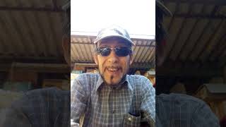 Video per Documenting reality