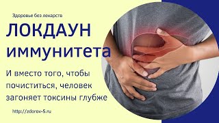 Локдаун для иммунитета #иммунитет #локдаун #токсины