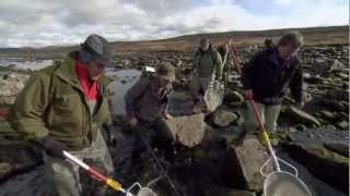 For mye fisk på Hardangervidda