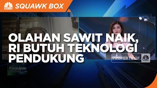 GIMNI: Kebutuhan Olahan Sawit Naik, RI Butuh Teknologi Pendukung