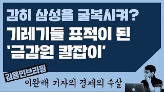 [경제의 속살] ‘금감원 저승사자’, 기레기들 표적 되다