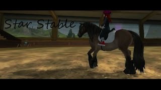Star Stable Online-Швед!