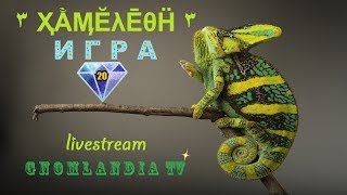 ИГРА ОНЛАЙН "ХАМЕЛЕОН" (20)