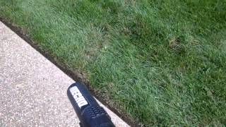 Lawn Care Rookie: Quick Tip #2 Edging 101