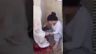 Real Girl Butcher Butchering the Goat!