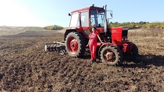Őszi Munkák / Autumn Works 2017 - Mtz 82 [HD]