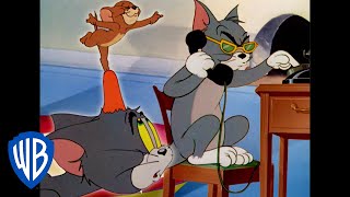 Tom & Jerry in italiano | La Tua Guida ai Cortometraggi Candidati agli Oscar 